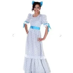 Fun Costume Other Wendy Darling Adult Costume Poshmark